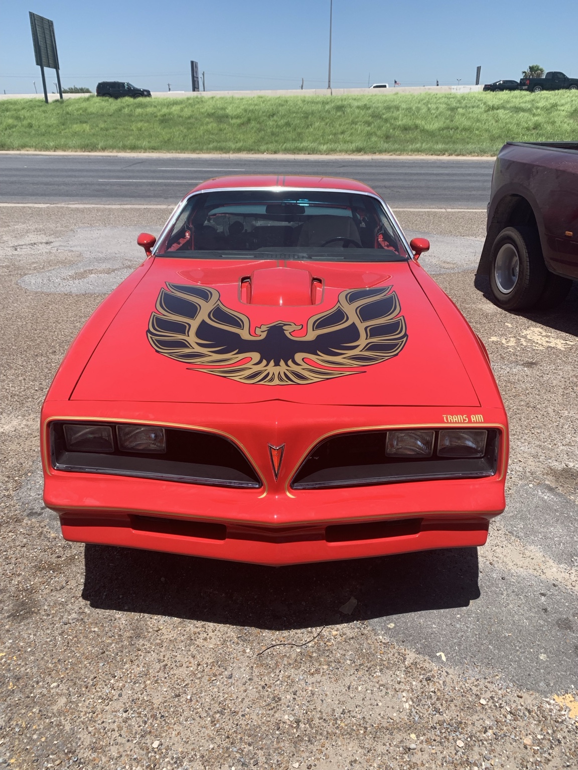 Trans Am Hood Graphic